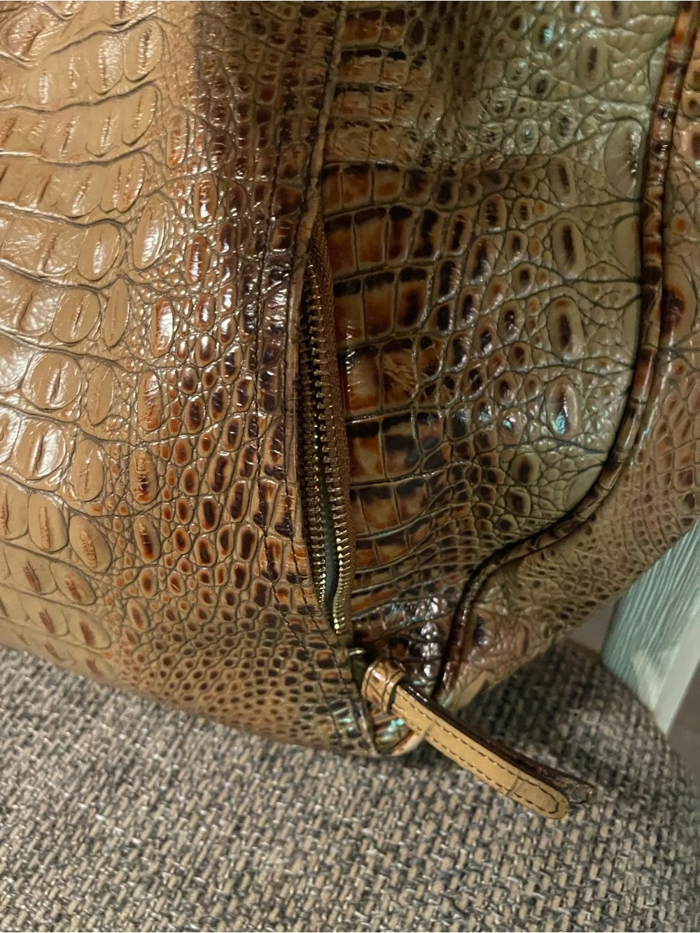 Women's Braham Croc-Embossed Hobo Bag in Brown